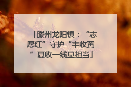 滕州龙阳镇：“志愿红”守护“丰收黄”夏收一线显担当