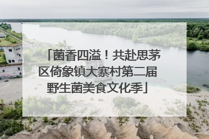菌香四溢！共赴思茅区倚象镇大寨村第二届野生菌美食文化季