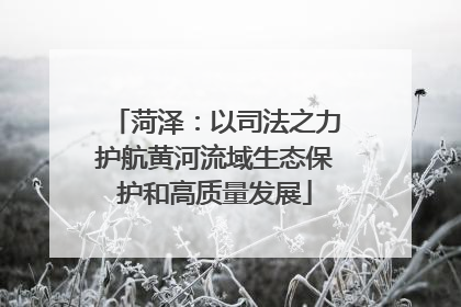 菏泽：以司法之力护航黄河流域生态保护和高质量发展
