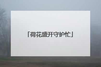 荷花盛开守护忙