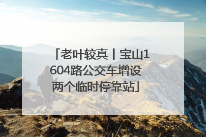 老叶较真丨宝山1604路公交车增设两个临时停靠站
