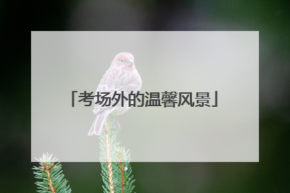 考场外的温馨风景