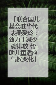 联合国儿基会驻华代表桑爱玲：致力于减少碳排放 帮助儿童适应气候变化