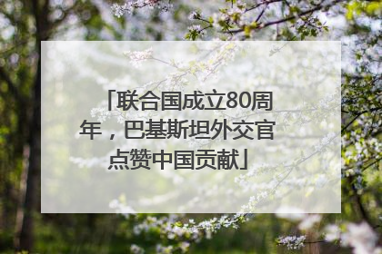 联合国成立80周年，巴基斯坦外交官点赞中国贡献
