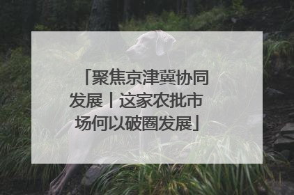 聚焦京津冀协同发展丨这家农批市场何以破圈发展