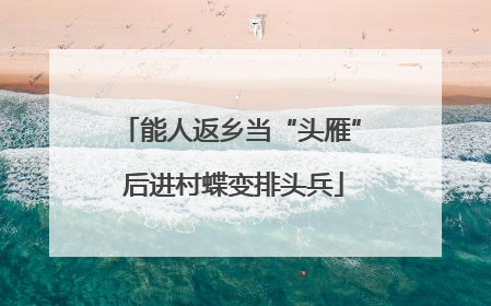能人返乡当“头雁” 后进村蝶变排头兵