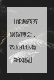 能源商齐聚碳博会，老面孔也有新风貌
