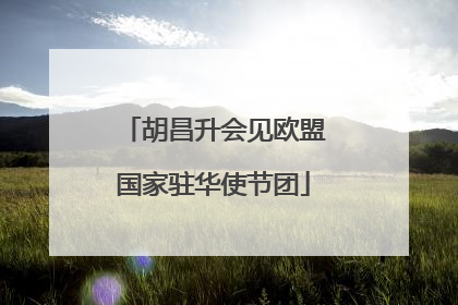胡昌升会见欧盟国家驻华使节团