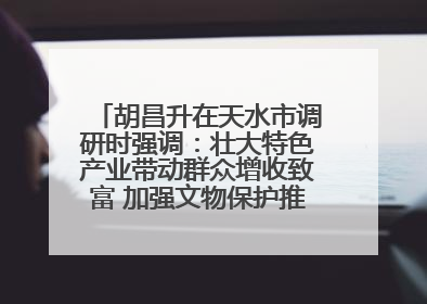 胡昌升在天水市调研时强调：壮大特色产业带动群众增收致富 加强文物保护推动文化创新发展