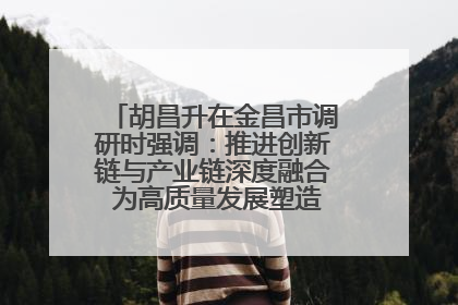 胡昌升在金昌市调研时强调：推进创新链与产业链深度融合 为高质量发展塑造新动能新优势