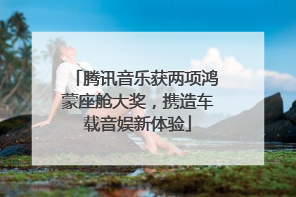 腾讯音乐获两项鸿蒙座舱大奖，携造车载音娱新体验