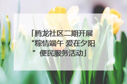 腾龙社区二期开展 “粽情端午 爱在夕阳”便民服务活动