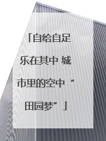 自给自足 乐在其中 城市里的空中“田园梦”