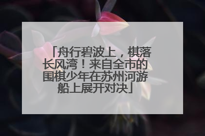 舟行碧波上，棋落长风湾！来自全市的围棋少年在苏州河游船上展开对决