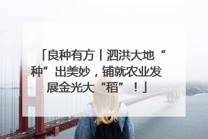 良种有方丨泗洪大地“种”出美妙，铺就农业发展金光大“稻”！