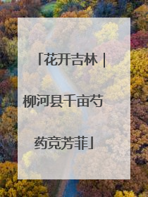花开吉林｜柳河县千亩芍药竞芳菲