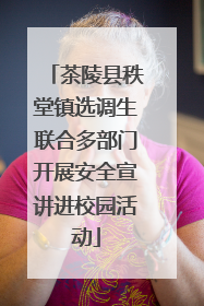 茶陵县秩堂镇选调生联合多部门开展安全宣讲进校园活动