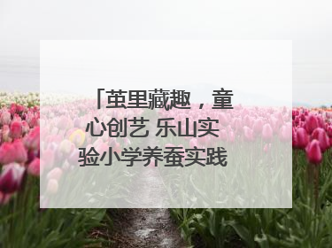 茧里藏趣，童心创艺 乐山实验小学养蚕实践绘就成长画卷