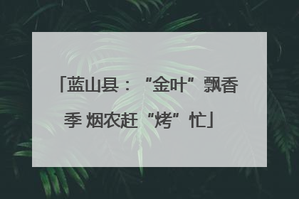 蓝山县：“金叶”飘香季 烟农赶“烤”忙