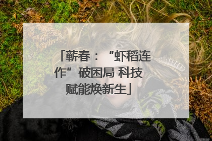 蕲春：“虾稻连作”破困局 科技赋能焕新生
