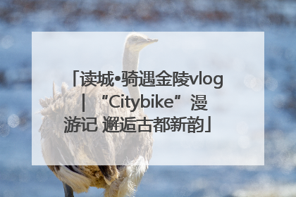 读城•骑遇金陵vlog｜“Citybike”漫游记 邂逅古都新韵