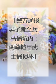 警方通报男子跳至兵马俑坑内：两尊铠甲武士俑损坏