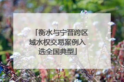 衡水与宁晋跨区域水权交易案例入选全国典型