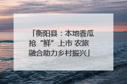 衡阳县：本地香瓜抢“鲜”上市 农旅融合助力乡村振兴