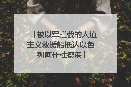被以军拦截的人道主义救援船抵达以色列阿什杜德港