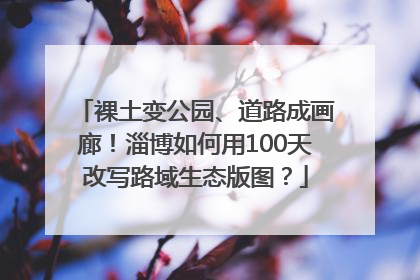 裸土变公园、道路成画廊！淄博如何用100天改写路域生态版图？