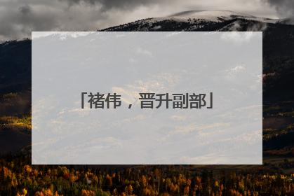 褚伟，晋升副部