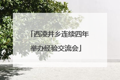 西凌井乡连续四年举办经验交流会