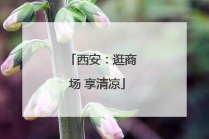 西安：逛商场 享清凉