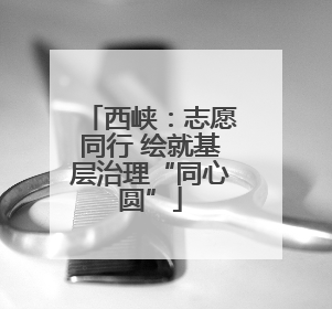 西峡：志愿同行 绘就基层治理“同心圆”