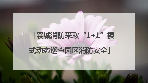 襄城消防采取“1+1”模式动态巡查园区消防安全