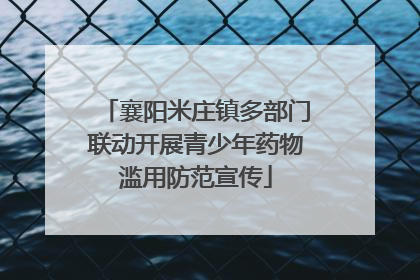 襄阳米庄镇多部门联动开展青少年药物滥用防范宣传