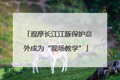 观摩长江江豚保护意外成为“现场教学”