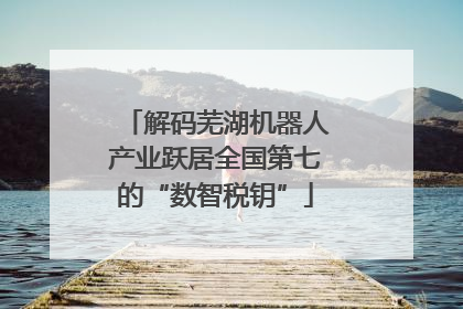解码芜湖机器人产业跃居全国第七的“数智税钥”