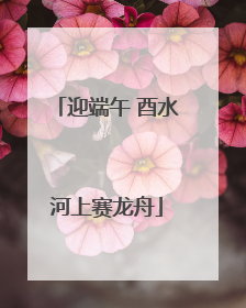 迎端午 酉水河上赛龙舟