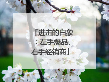 进击的白象：左手爆品、右手经销商