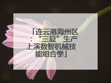 连云港海州区：“三夏”生产上演数智机械技能组合拳