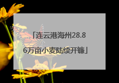 连云港海州28.86万亩小麦陆续开镰