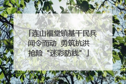 连山福堂镇基干民兵闻令而动  勇筑抗洪抢险“迷彩防线”