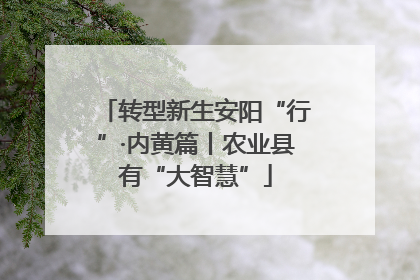 转型新生安阳“行”·内黄篇丨农业县有“大智慧”