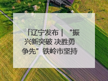 辽宁发布｜“振兴新突破 决胜勇争先”铁岭市坚持“项目为王”推进经济高质量发展