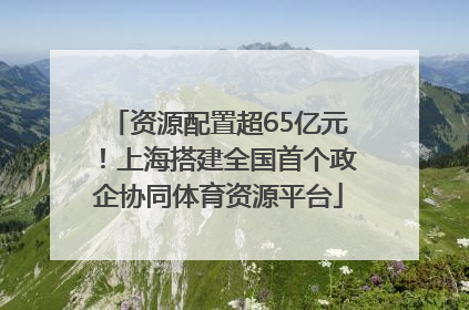 资源配置超65亿元！上海搭建全国首个政企协同体育资源平台