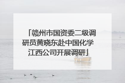 赣州市国资委二级调研员黄晓东赴中国化学江西公司开展调研