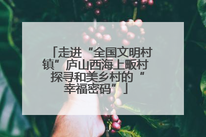 走进“全国文明村镇”庐山西海上畈村 探寻和美乡村的“幸福密码”