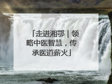 走进湘鄂｜领略中医智慧，传承医道薪火