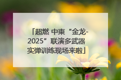 超燃 中柬“金龙-2025”联演多武器实弹训练现场来啦